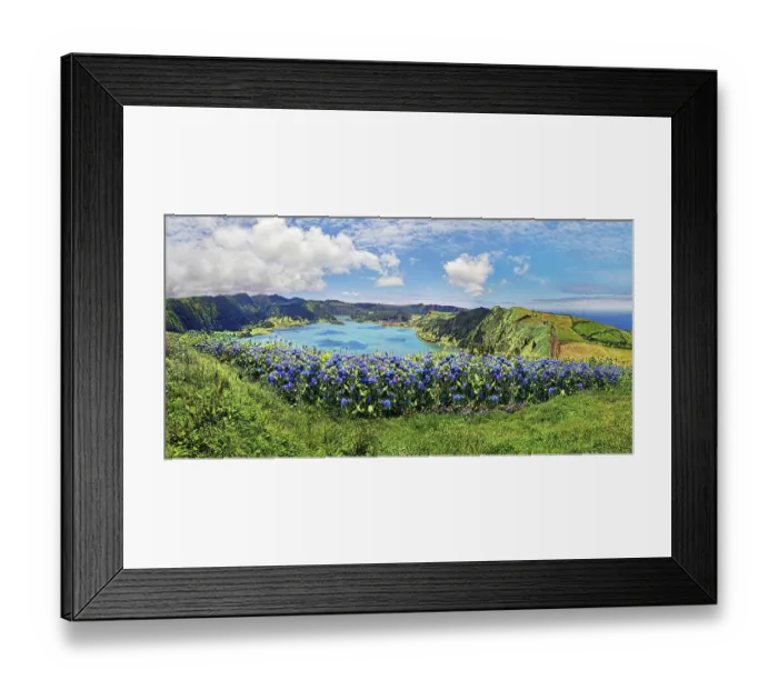 Framed Print : Panoramic view of the crater lake Lagoa Azul with the green overgrown crater rim surrounded by blue hydrangeas