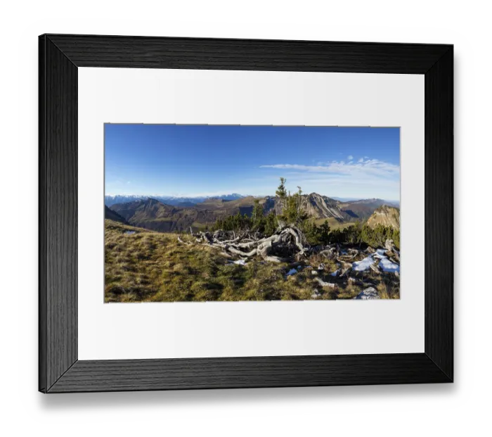 Framed Print : Weathered trees on the path to the Hoher Zinken