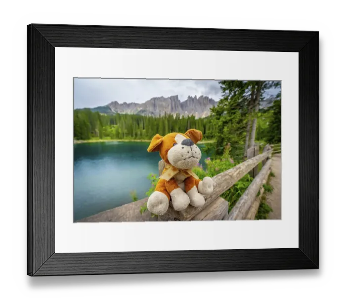 Framed Print : Plush dog sitting on a wooden fence Framed Print : Plush dog sitting on a wooden fence