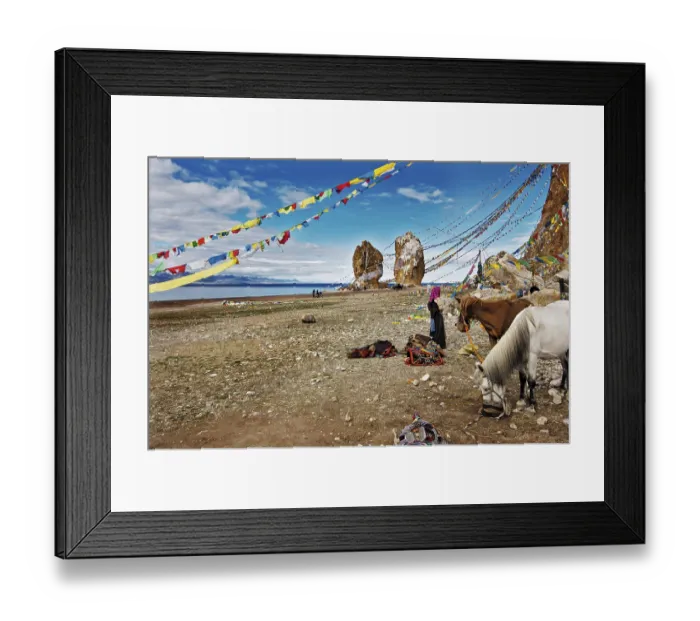 Framed Print : Horses at the Stone Couple and prayer flags Framed Print : Horses at the Stone Couple and prayer flags