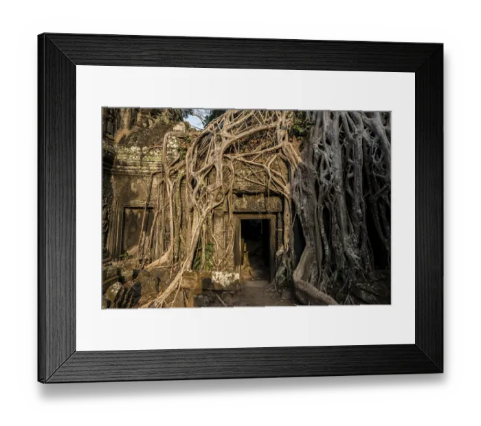 Framed Print : Ta Prohm, Angkor Wat, Angkor, UNESCO World Heritage Site