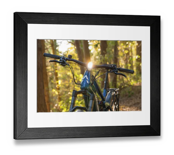 Framed Print : Bicycle standing in the forest Framed Print : Bicycle standing in the forest