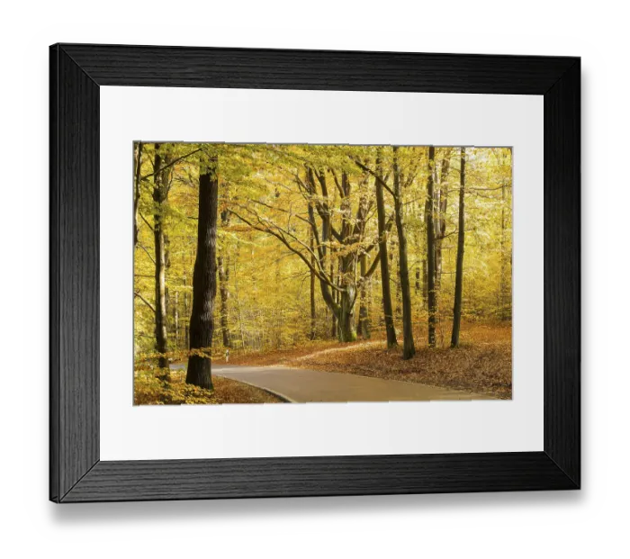 Framed Print : Road through an autumnal deciduous forest near Gross Radisch