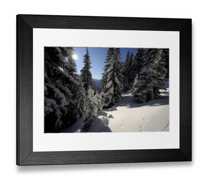 Framed Print : Winter forest in backlight, Spiesser
