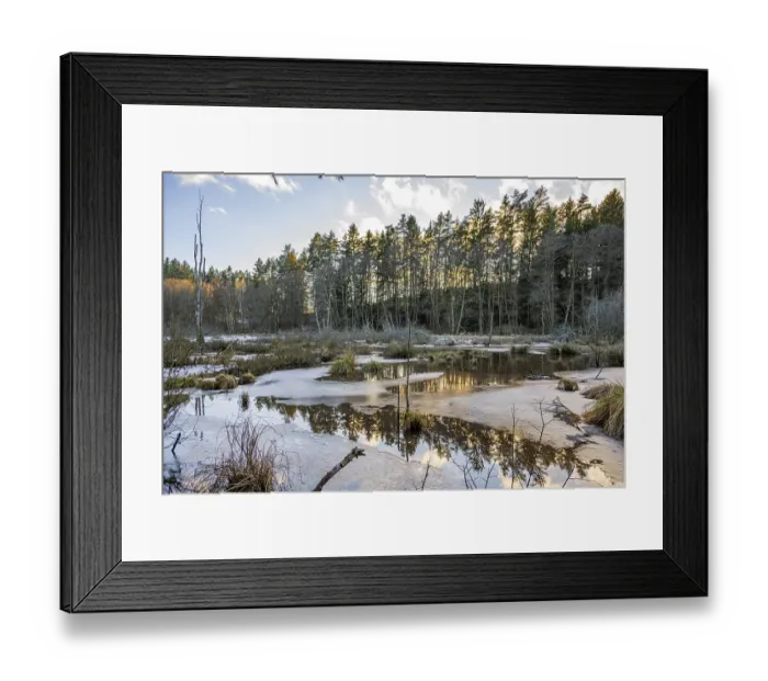 Framed Print : Winterladscape of a swamp with ice