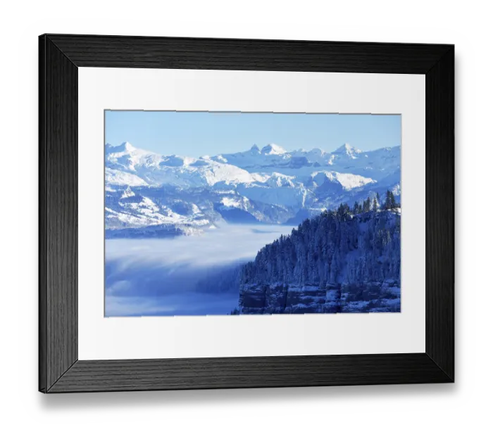 Framed Print : Snowy fir forest above clouds, central Swiss Alps behind