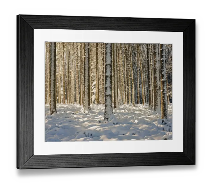 Framed Print : Snow-covered winter forest, Horben