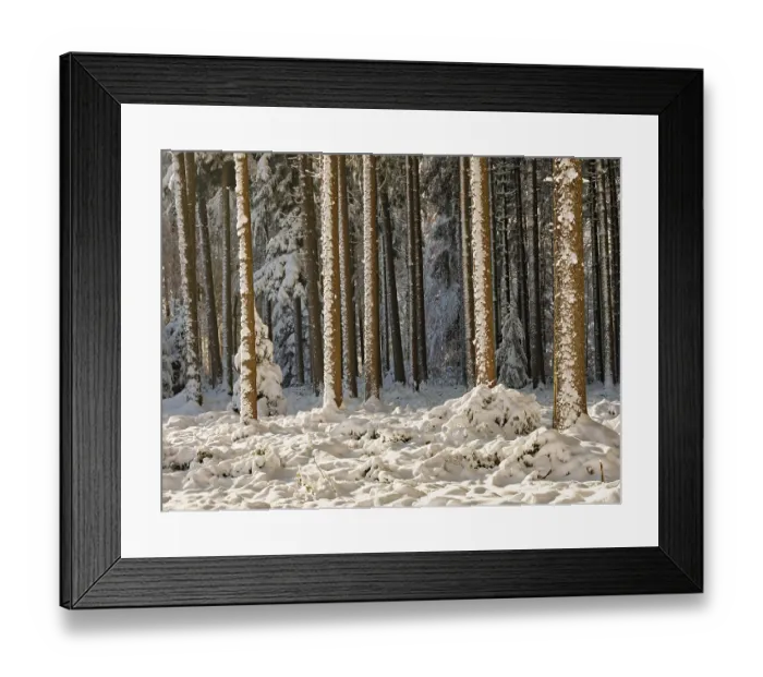Framed Print : Snow-covered winter forest, Horben Framed Print : Snow-covered winter forest, Horben