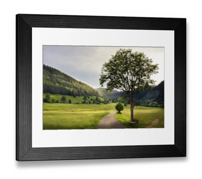Framed Print : Landscape with meadows, trees, forest