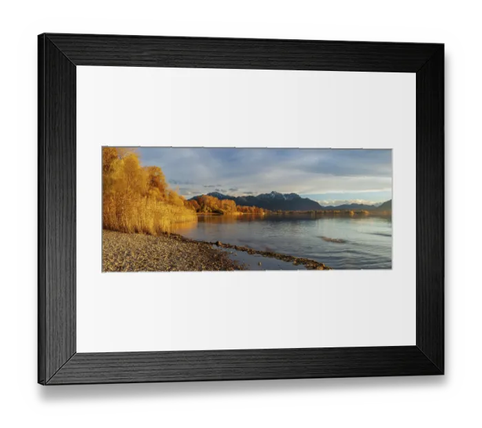 Framed Print : Shore of Lake Chiemsee in autumn