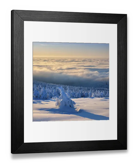 Framed Print : Morning atmosphere on the Brocken Framed Print : Morning atmosphere on the Brocken