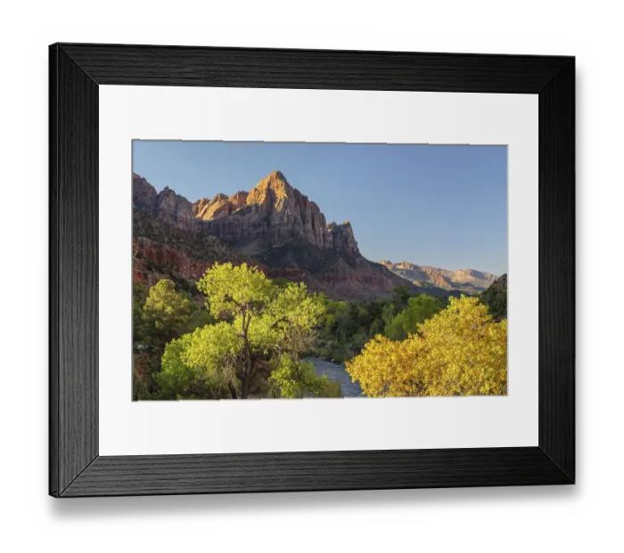 Framed Print : View from Virgin River to Watchman Mountain Framed Print : View from Virgin River to Watchman Mountain