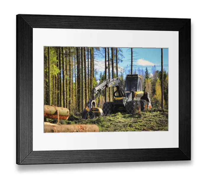Framed Print : Ponsse Ergo forest harvester on logging site in autumnal coniferous forest Framed Print : Ponsse Ergo forest harvester on logging site in autumnal coniferous forest