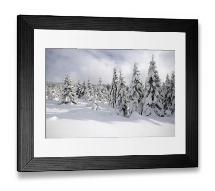 Framed Print : Winter landscape in Harz National Park