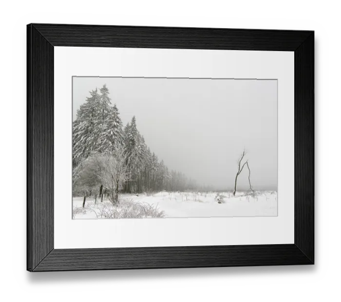 Framed Print : Winter forest