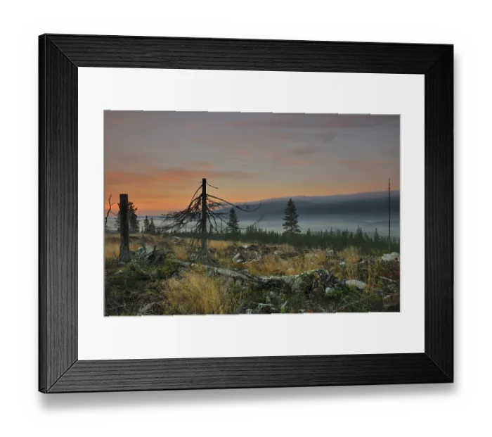 Framed Print : Altweibersommer, Fulufjaellet-NP