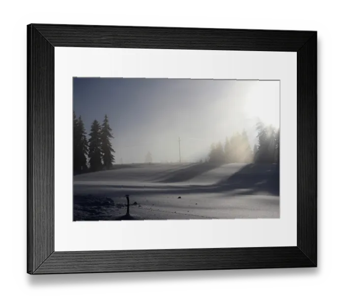 Framed Print : Mountain forest Framed Print : Mountain forest