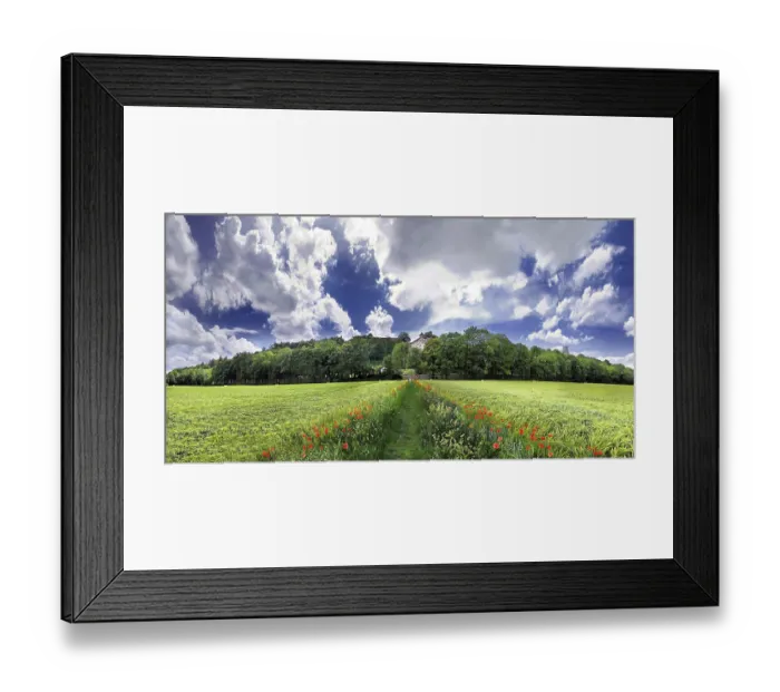 Framed Print : Way between barley fields, Eichstaett