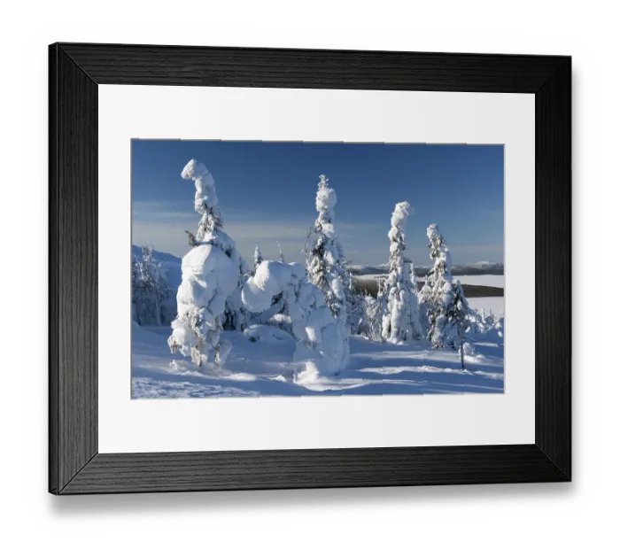 Framed Print : Trees in the snow mountains in the background