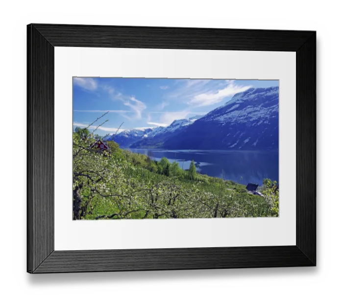 Framed Print : Green landscape with a view of a lake