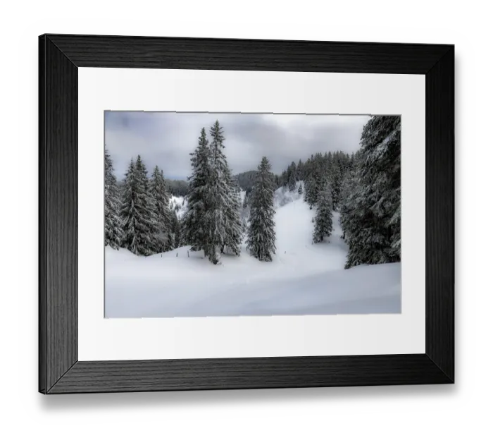 Framed Print : Scattered standing trees in a wintry mountain landscape