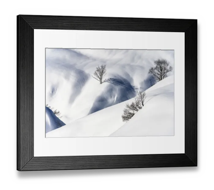 Framed Print : Scattered standing trees in a wintry mountain landscape Framed Print : Scattered standing trees in a wintry mountain landscape