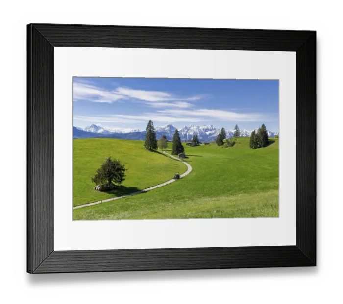 Framed Print : Landscape with trees near Fuessen