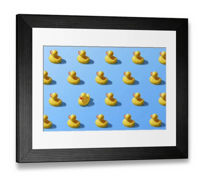 Framed Print : Trendy pop art design of a yellow rubber duck pattern from a top view Framed Print : Trendy pop art design of a yellow rubber duck pattern from a top view