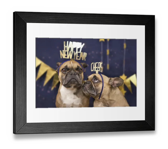 Framed Print : New Years Eve dogs