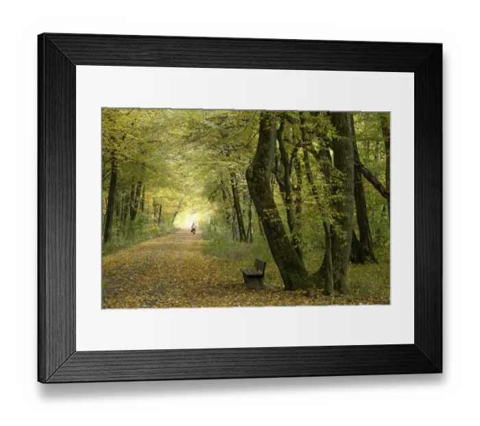 Framed Print : Path in an autumnal wood