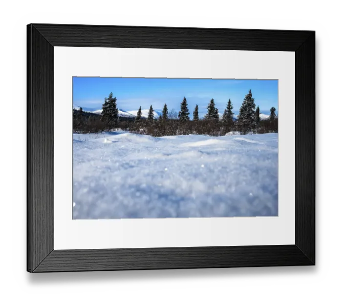 Framed Print : Snowy landscape with trees in the background under a clear sky
