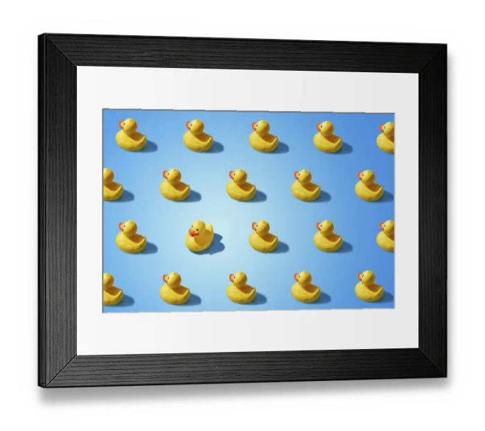 Framed Print : Fashion minimalistic concept of a yellow rubber duck pattern flat lay Framed Print : Fashion minimalistic concept of a yellow rubber duck pattern flat lay