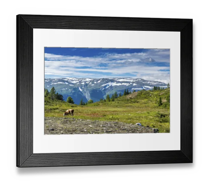 Framed Print : Beautiful landscape in Norway with Summer weather and sunshine
