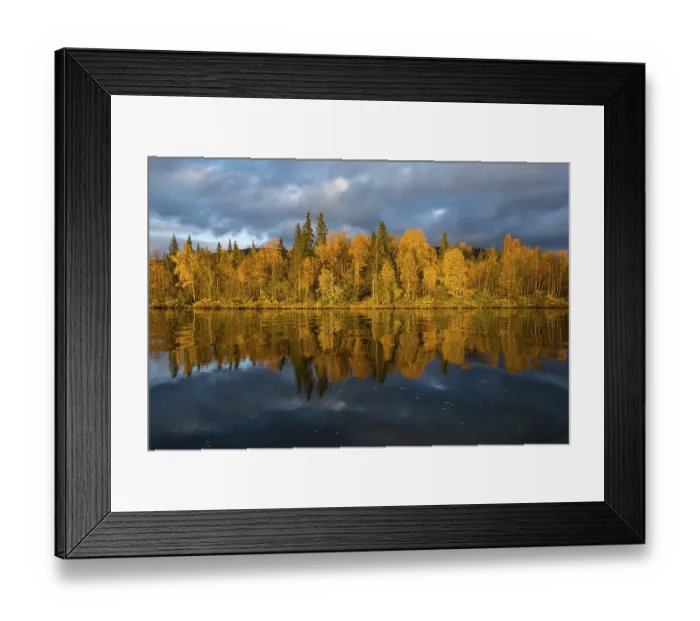 Framed Print : Autumn landscape, Mirroring, Kvikkjokk Delta