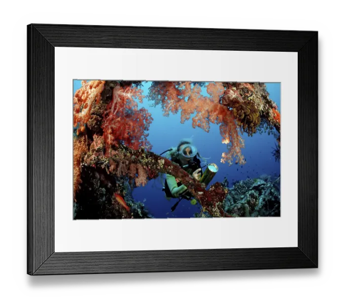 Framed Print : Diver examines Liberty shipwreck