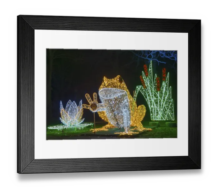 Framed Print : Le Frog, luminous frog, world of lights