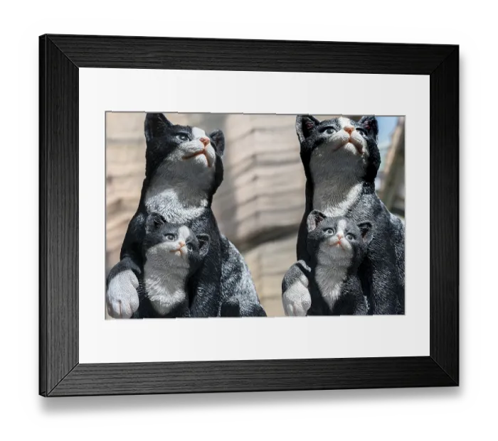 Framed Print : Artificial cats with kittens, as garden decoration in a garden centre