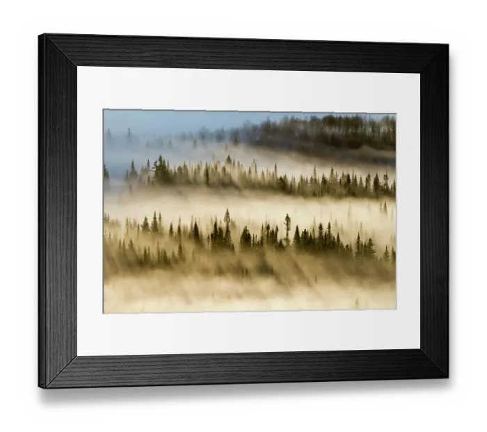 Framed Print : 6678461