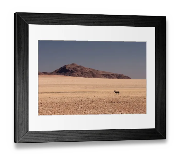 Framed Print : Gemsbok or Oryx (Oryx gazella) in the grassy steppe of Namib Naukluft Park