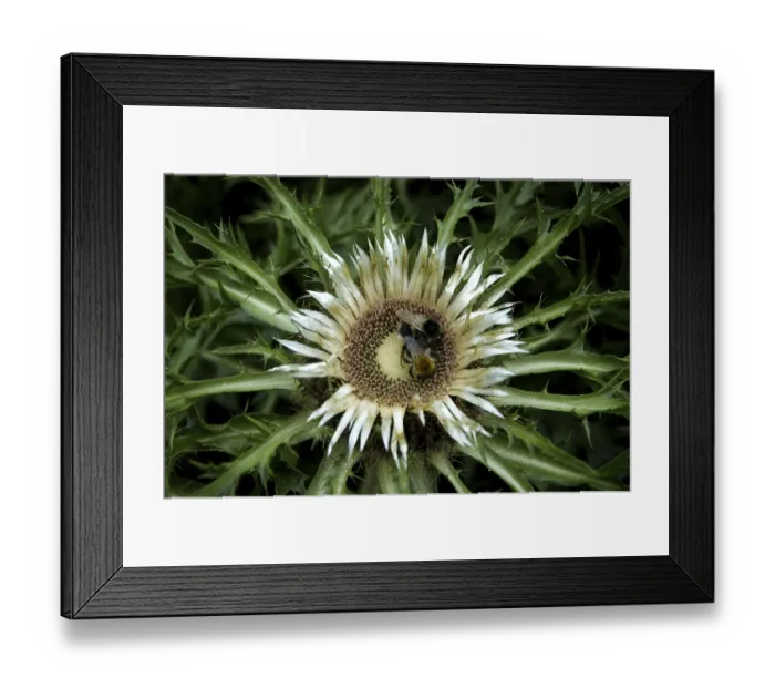 Framed Print : Team work