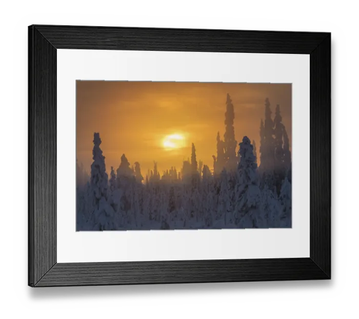 Framed Print : Foggy mood, Muddus National Park