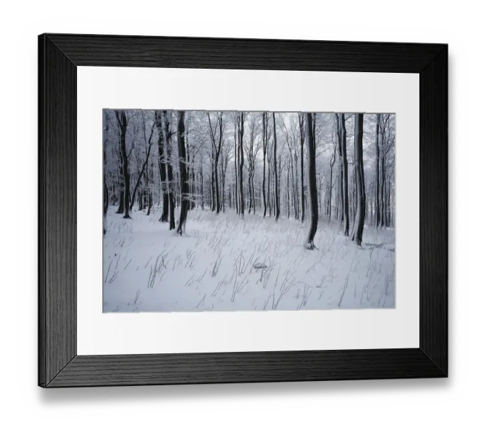 Framed Print : Wintry forest on Mt. Kreuzberg