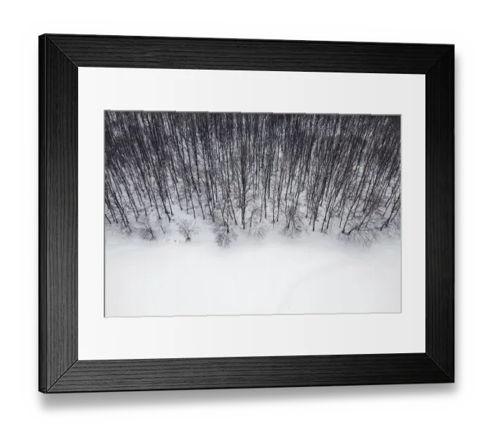 Framed Print : Winter forest from above. Aerial view forest and snow