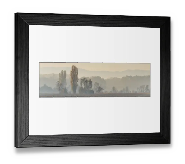 Framed Print : Plain landscape with trees and forest in autumn Framed Print : Plain landscape with trees and forest in autumn