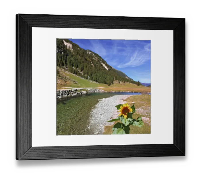 Framed Print : The narrow stream flows between fields and pine forests