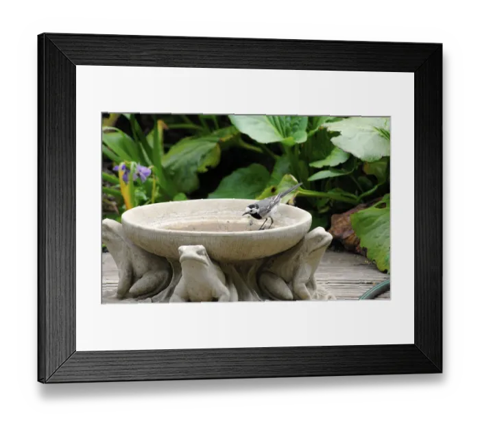 Framed Print : A wagtail stands in a clay jug with animal decorations