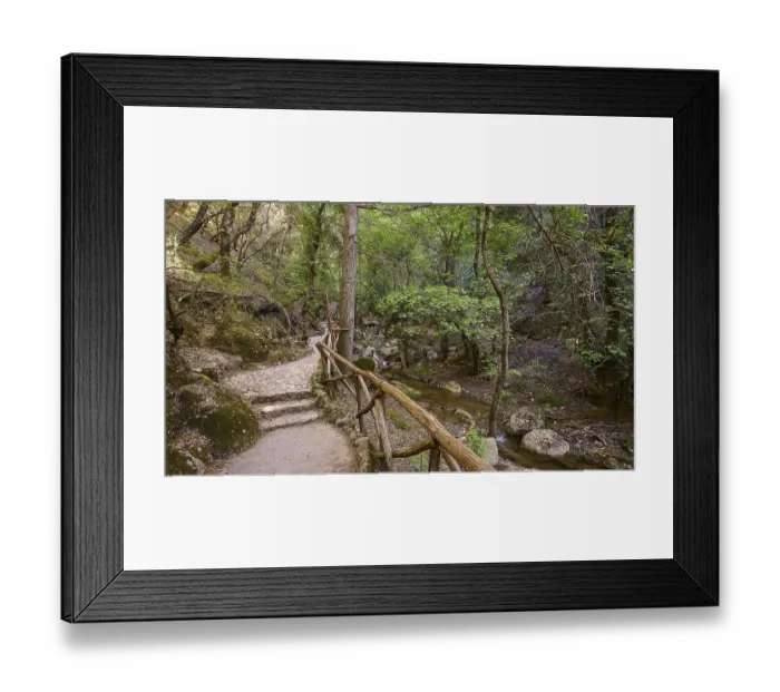 Framed Print : Nature trail with railings leading through a tranquil forest Framed Print : Nature trail with railings leading through a tranquil forest