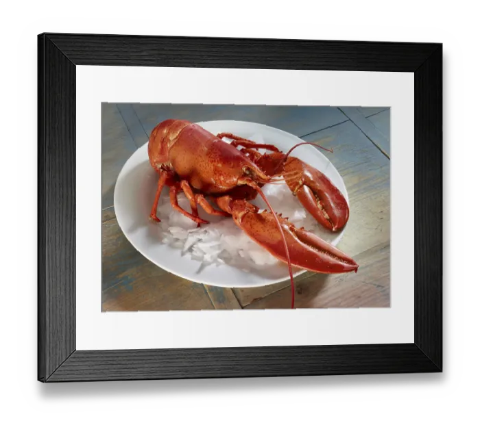 Framed Print : Boiled lobster (Homarus) on a white plate with ice cream Framed Print : Boiled lobster (Homarus) on a white plate with ice cream