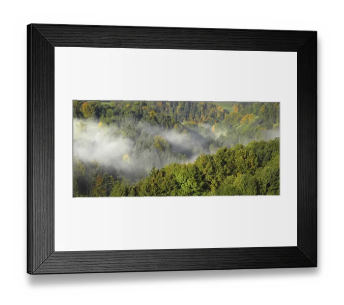 Framed Print : Zugerland mixed forest in autumn Framed Print : Zugerland mixed forest in autumn