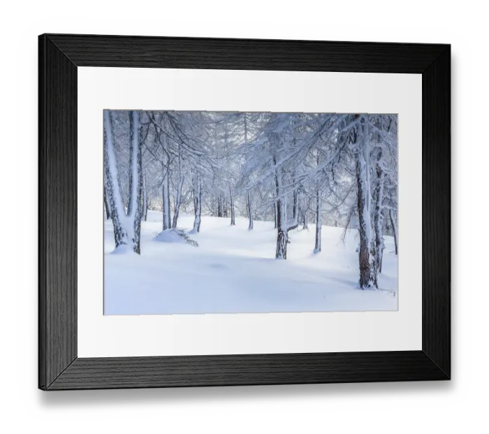 Framed Print : Winter landscape, forest, owl meadows